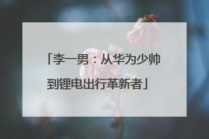 李一男：从华为少帅到锂电出行革新者