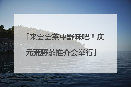 来尝尝茶中野味吧！庆元荒野茶推介会举行