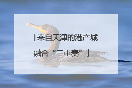 来自天津的港产城融合“三重奏”