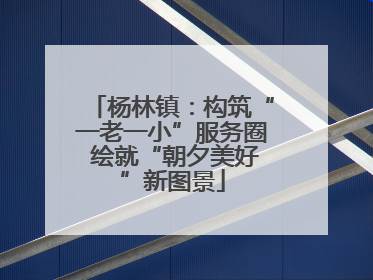 杨林镇：构筑“一老一小”服务圈 绘就“朝夕美好”新图景