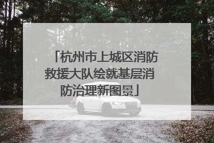 杭州市上城区消防救援大队绘就基层消防治理新图景