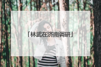林武在济南调研