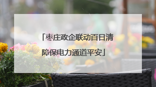 枣庄政企联动百日清障保电力通道平安