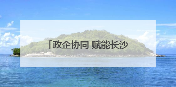 政企协同 赋能长沙高铁新城自贸经济圈