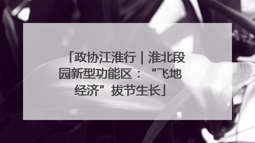 政协江淮行｜淮北段园新型功能区：“飞地经济”拔节生长