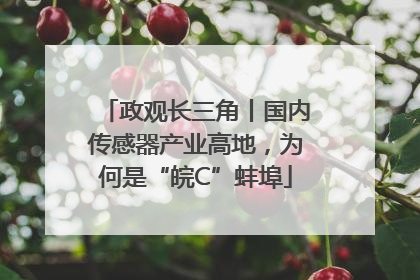 政观长三角丨国内传感器产业高地，为何是“皖C”蚌埠