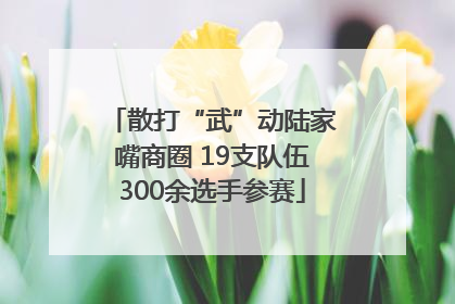 散打“武”动陆家嘴商圈 19支队伍300余选手参赛