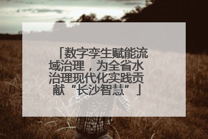 数字孪生赋能流域治理，为全省水治理现代化实践贡献“长沙智慧”