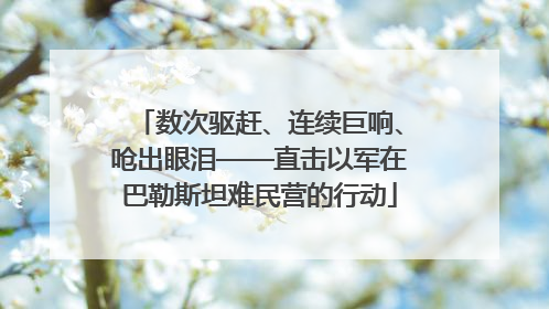 数次驱赶、连续巨响、呛出眼泪——直击以军在巴勒斯坦难民营的行动