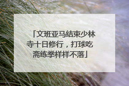 文班亚马结束少林寺十日修行，打球吃斋练拳样样不落