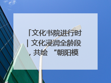 文化书院进行时｜文化浸润全龄段，共绘 “朝阳模式” 新图景！