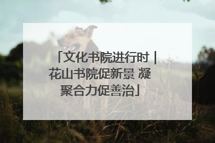 文化书院进行时｜花山书院促新景 凝聚合力促善治