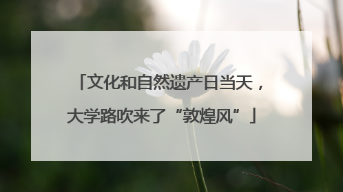 文化和自然遗产日当天，大学路吹来了“敦煌风”
