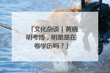 文化杂谈｜黄晓明考博，明星是在卷学历吗？