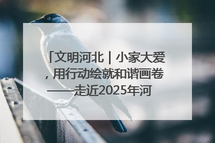文明河北｜小家大爱，用行动绘就和谐画卷——走近2025年河北省“最美家庭”
