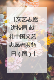文艺志愿进校园 献礼中国文艺志愿者服务日（图）