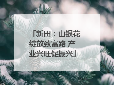 新田：山银花绽放致富路 产业兴旺促振兴