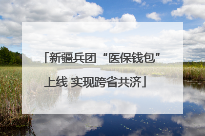新疆兵团“医保钱包”上线 实现跨省共济