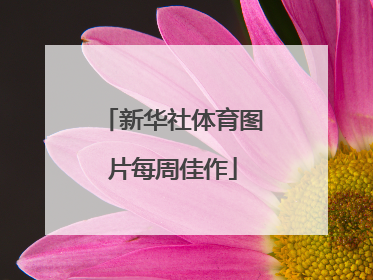 新华社体育图片每周佳作