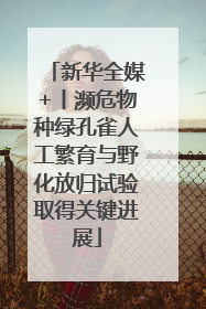 新华全媒+丨濒危物种绿孔雀人工繁育与野化放归试验取得关键进展