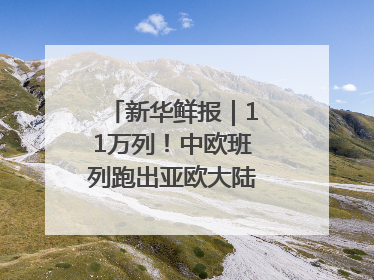新华鲜报｜11万列！中欧班列跑出亚欧大陆“新时速”