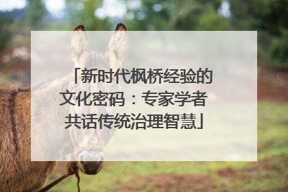 新时代枫桥经验的文化密码：专家学者共话传统治理智慧