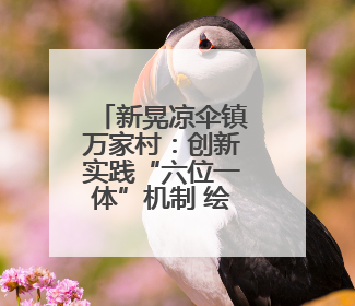 新晃凉伞镇万家村：创新实践“六位一体”机制 绘就粮食稳产增收新图景