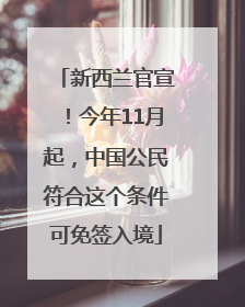 新西兰官宣！今年11月起，中国公民符合这个条件可免签入境
