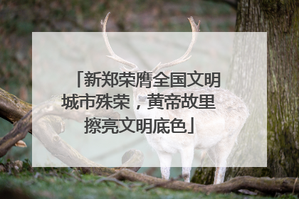 新郑荣膺全国文明城市殊荣，黄帝故里擦亮文明底色