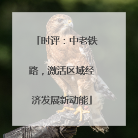 时评：中老铁路，激活区域经济发展新动能