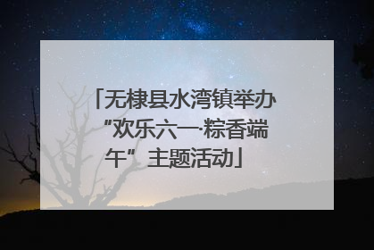 无棣县水湾镇举办“欢乐六一·粽香端午”主题活动