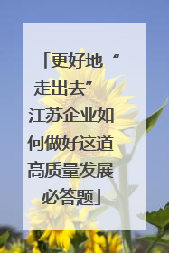 更好地“走出去” 江苏企业如何做好这道高质量发展必答题