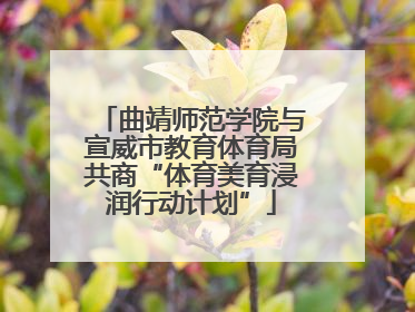 曲靖师范学院与宣威市教育体育局共商“体育美育浸润行动计划”
