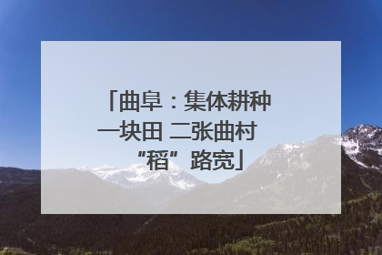 曲阜：集体耕种一块田 二张曲村“稻”路宽