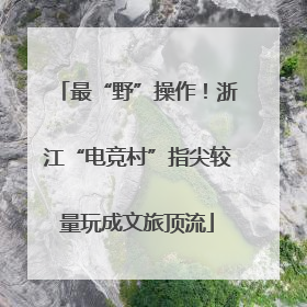 最“野”操作！浙江“电竞村”指尖较量玩成文旅顶流