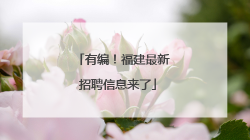 有编！福建最新招聘信息来了