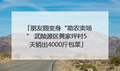 朋友圈变身“助农卖场” 武陵源区黄家坪村5天销出4000斤包菜