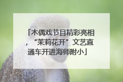 木偶戏节目精彩亮相，“茉莉花开”文艺直通车开进海师附小