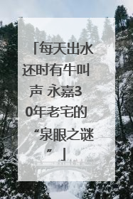 每天出水还时有牛叫声 永嘉30年老宅的“泉眼之谜”