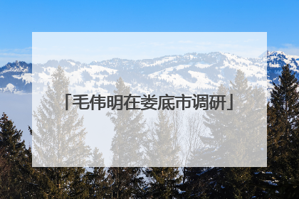 毛伟明在娄底市调研