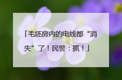 毛坯房内的电线都“消失”了！民警：抓！