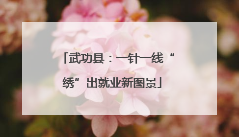 武功县：一针一线“绣”出就业新图景