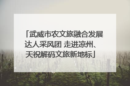 武威市农文旅融合发展达人采风团 走进凉州、天祝解码文旅新地标
