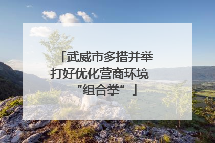 武威市多措并举打好优化营商环境“组合拳”