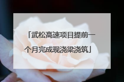武松高速项目提前一个月完成现浇梁浇筑