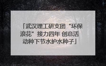 武汉理工研支团“环保浪花”接力四年 创意活动种下节水护水种子