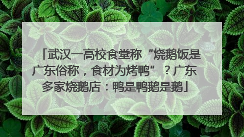 武汉一高校食堂称“烧鹅饭是广东俗称，食材为烤鸭”？广东多家烧鹅店：鸭是鸭鹅是鹅