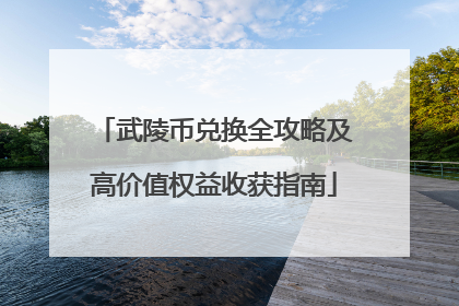 武陵币兑换全攻略及高价值权益收获指南