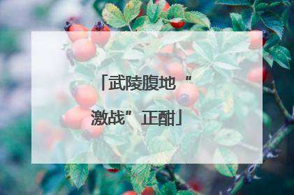 武陵腹地“激战”正酣