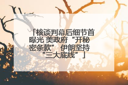 核谈判幕后细节首曝光 美政府“开秘密条款” 伊朗坚持“三大底线”